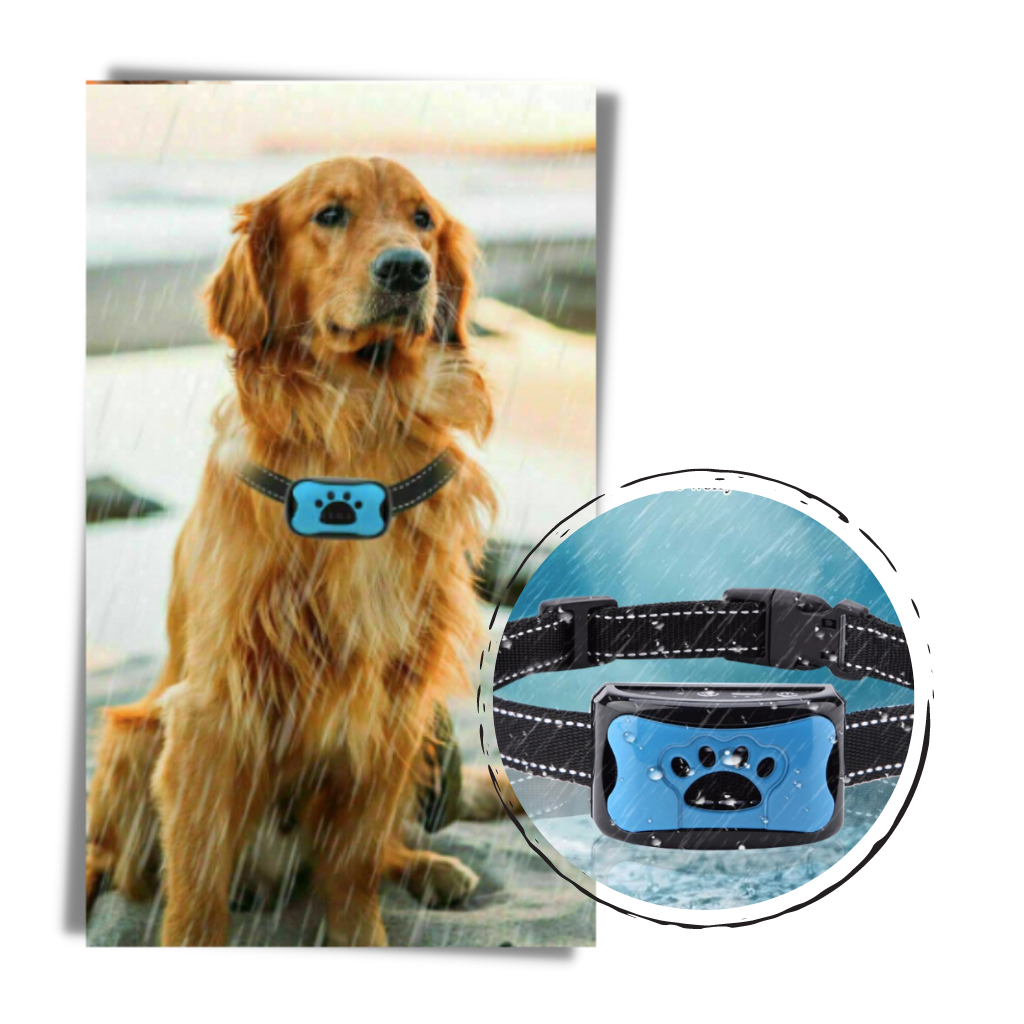 Anti bark dog collar - Durable Weatherproof Construction - Ozerty