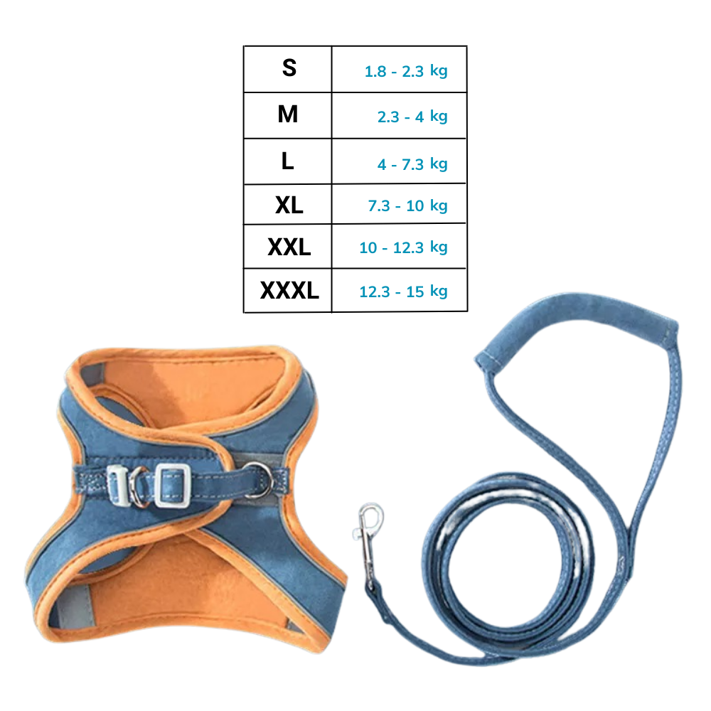 Pet Harness and Leash Set - Dimensions -