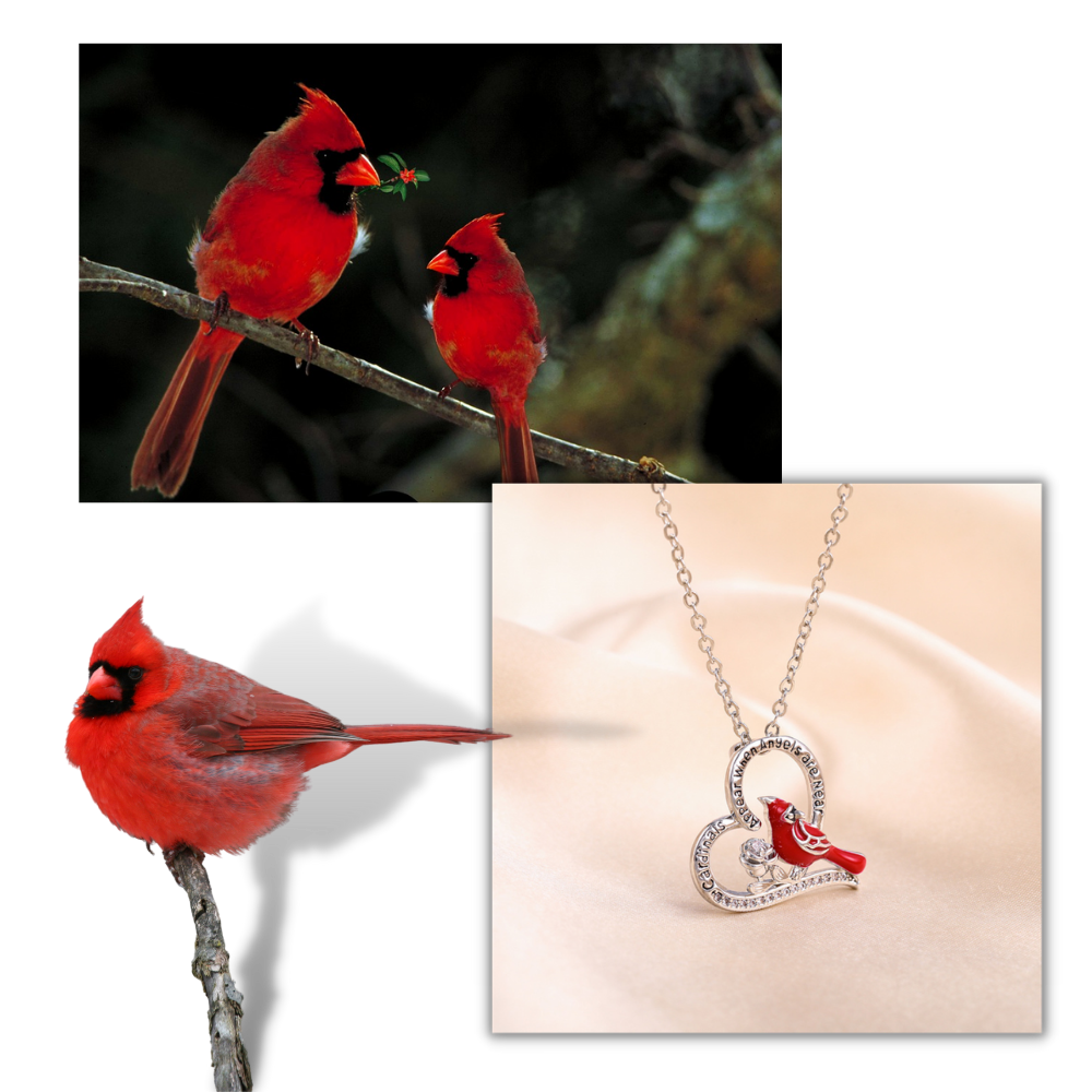 Cardinal Heart Pendant Necklace - Cardinal Pendant Necklace - 