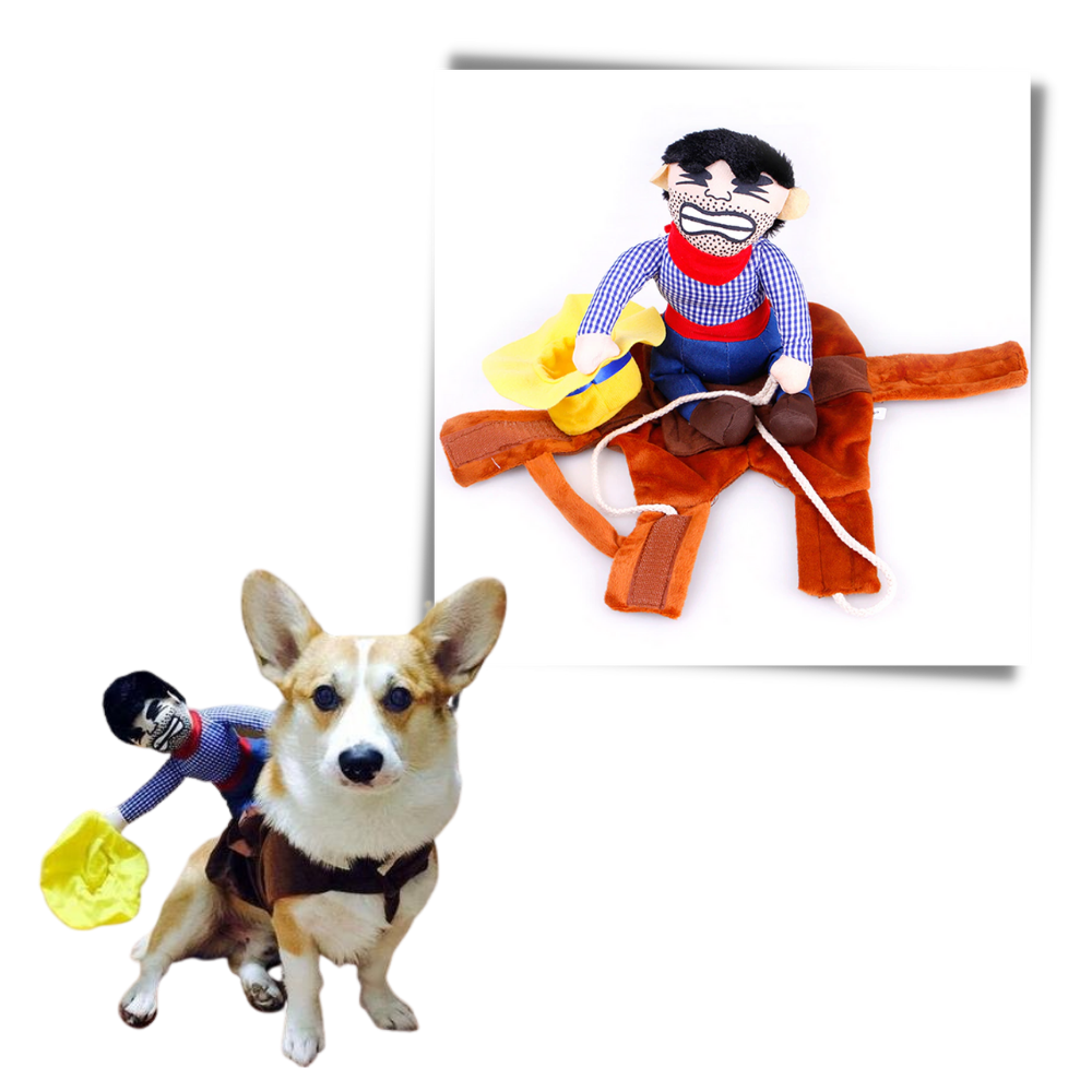 Cowboy Dog Costume - A Fun Dog Costume -