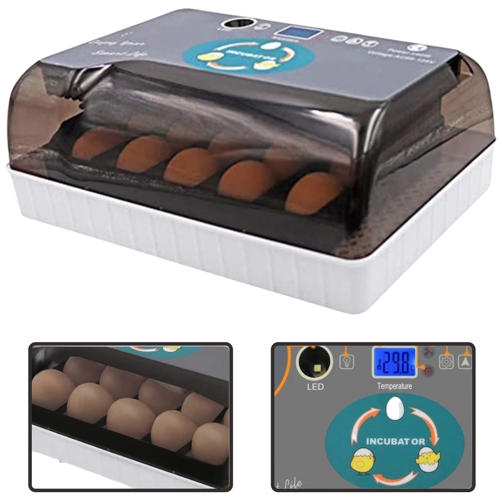 Digital automatisk äggkläckningsmaskin - Automatisk kuvös - Ozerty