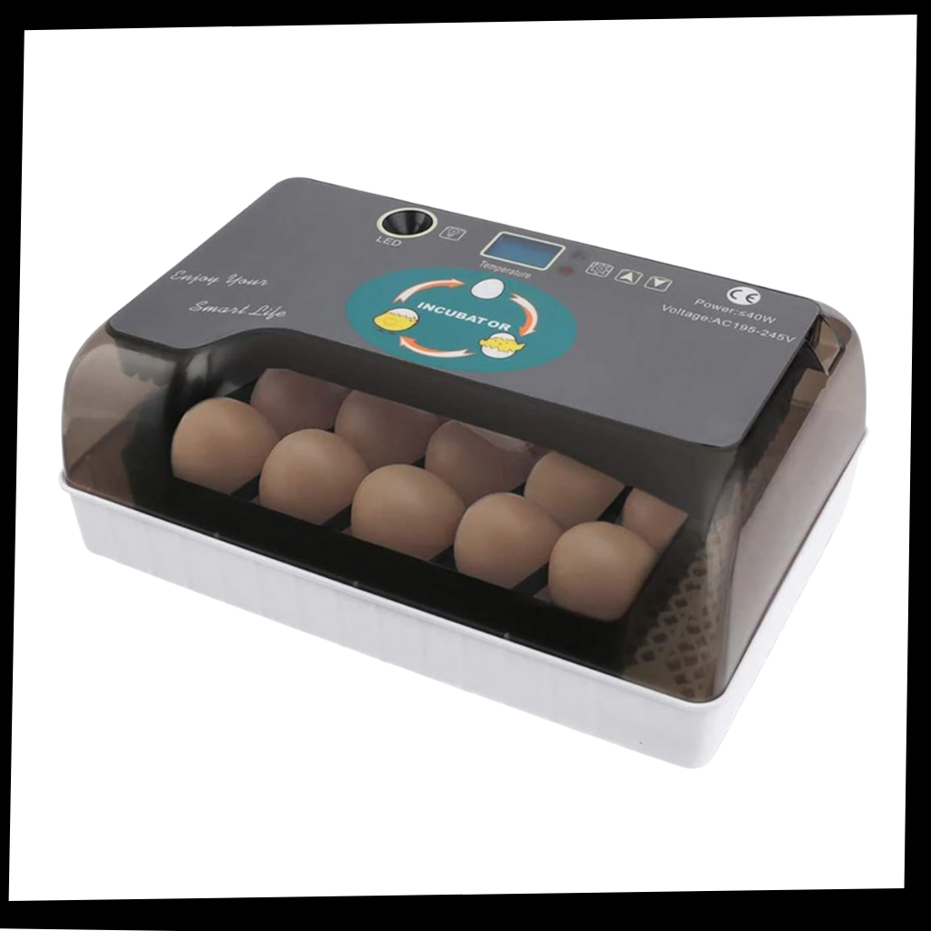Incubatrice automatica digitale per uova - Package - Ozayti