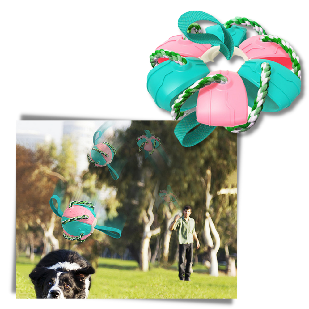 Frisbee Ball Dog Toy - Relieves Anxiety - 