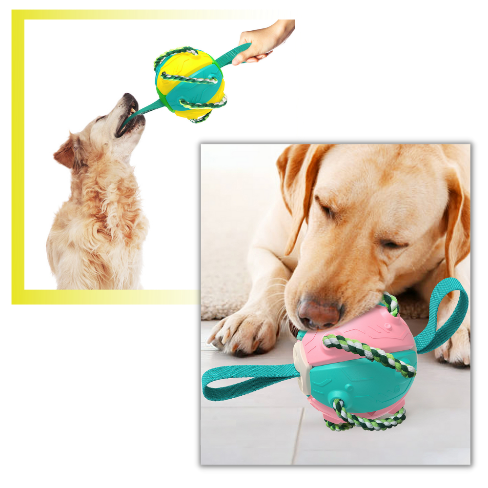 Frisbee Ball Dog Toy - Multiple Chew Ropes - 