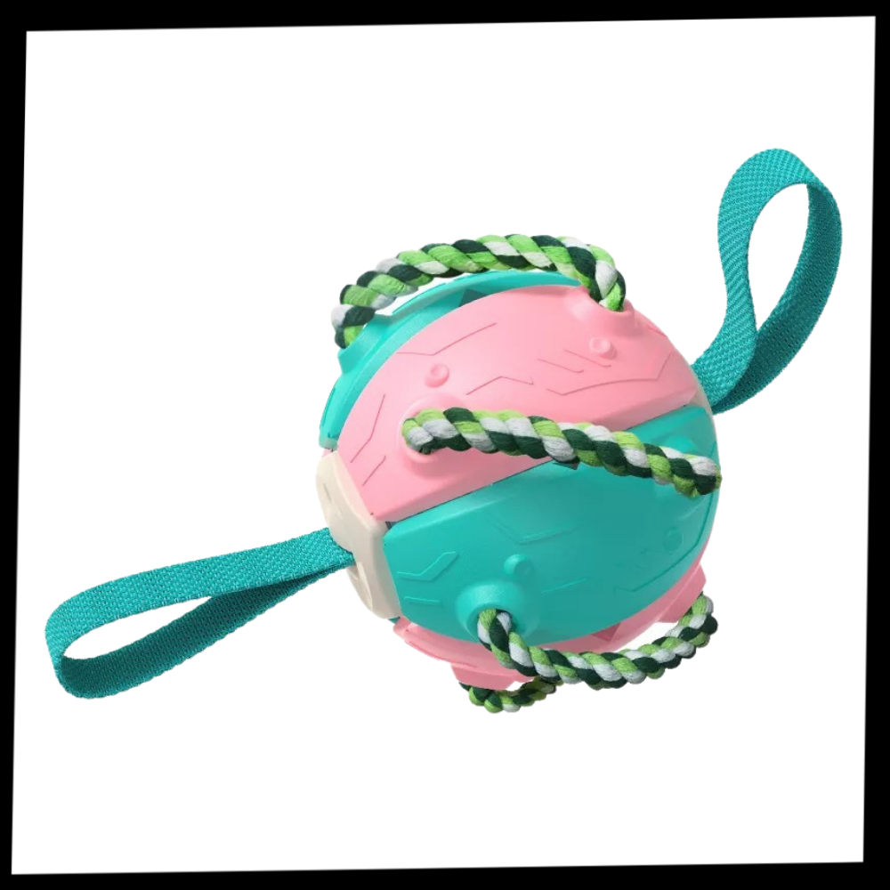 Frisbee Ball Dog Toy - Package - 