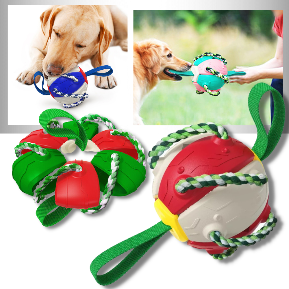 Ballon de frisbee pour chien │ Jouet d'entraînement extérieur │ Accessoires interactifs pour animaux de compagnie | Frisbee et jouet à mâcher pour chien - Ozerty