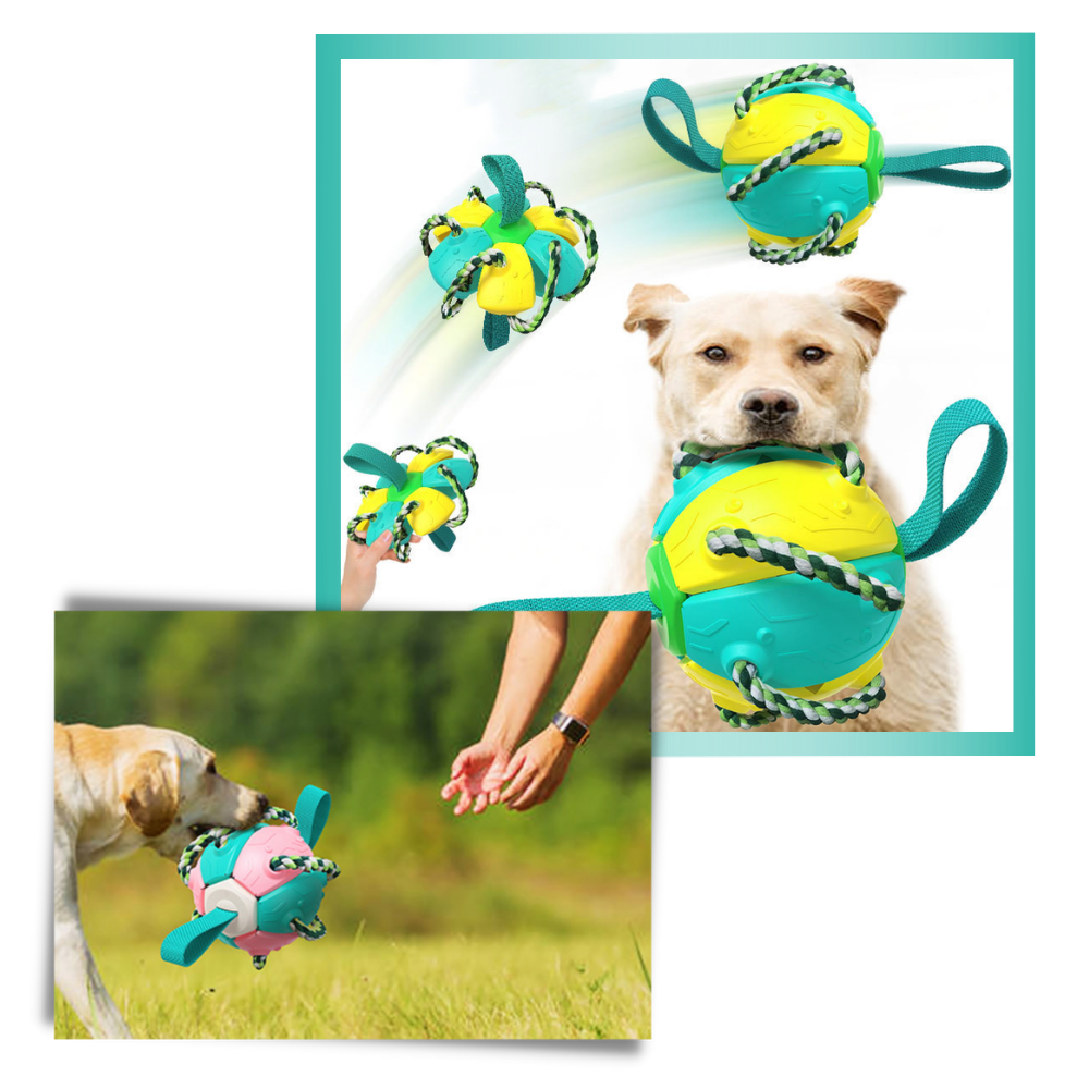 Frisbee Ball Dog Toy - Frisbee Ball Dog Toy - 