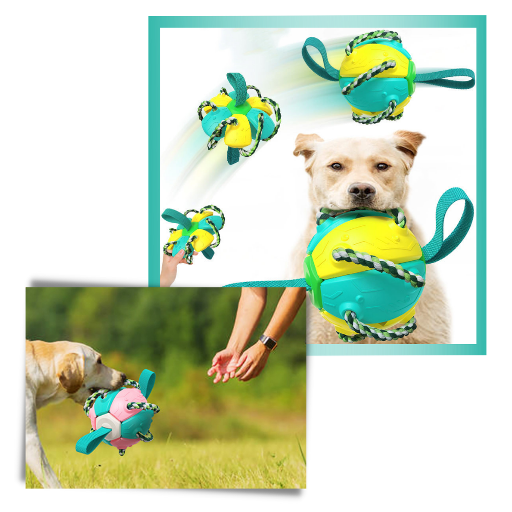 Ballon de frisbee pour chien - Ballon de frisbee pour chien - Ozerty