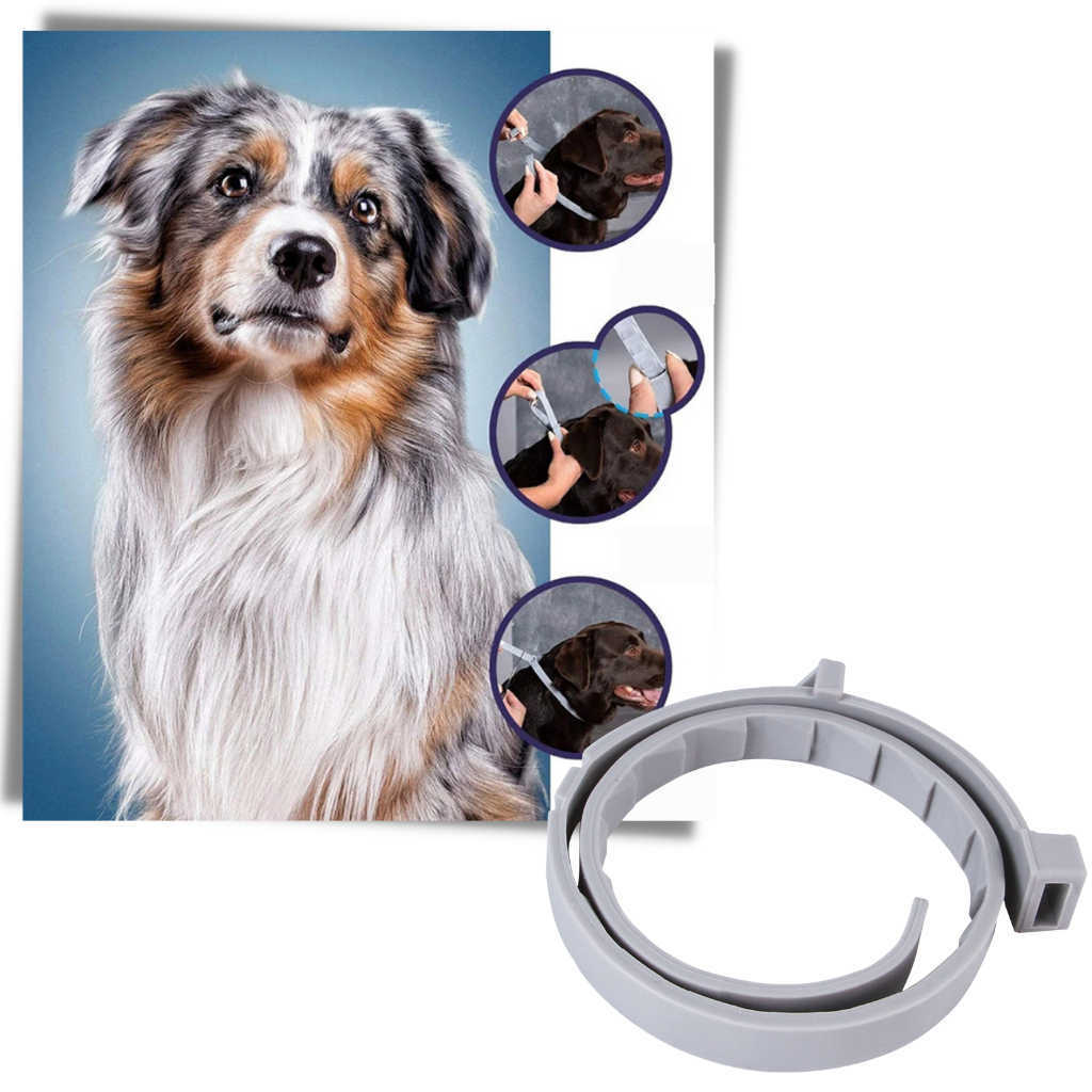 Anti-Flea Collar for Pets - Comfortable for Pets and Easy to Use - 