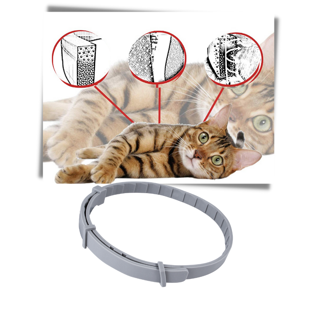 Anti-Flea Collar for Pets - Long-Lasting Effects - 