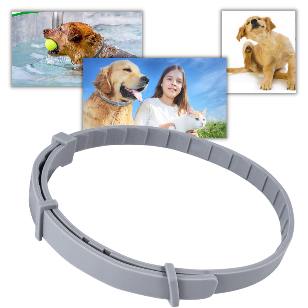 Loppe- og flåtthalsbånd for hunder og katter - Anti-loppehalsbånd for kjæledyr - Parasittavvisende kjæledyrhalsbånd  - Ozerty