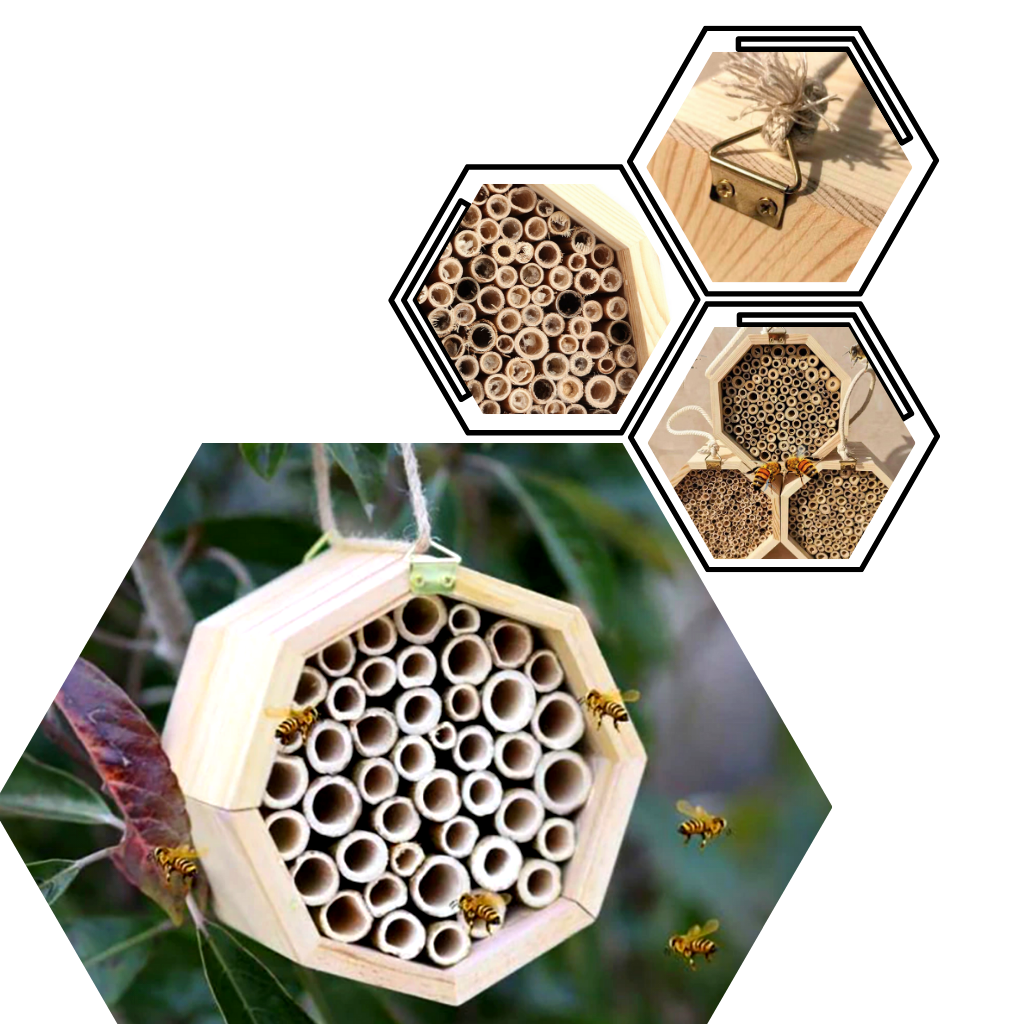 Maison en bois hexagonale pour abeilles -  Structure durable - Ozerty