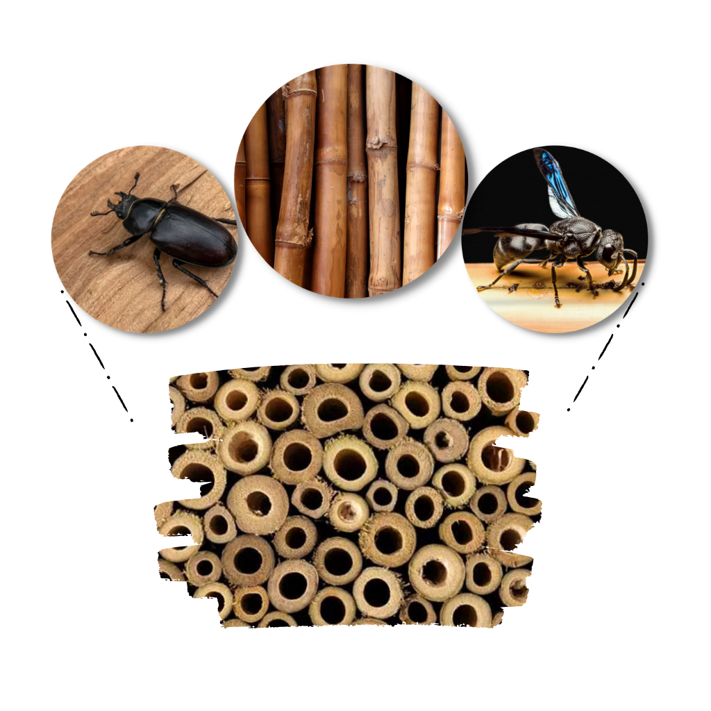 Maison en bois hexagonale pour abeilles -  Insert de ruche pour abeilles maçonnes - Ozerty