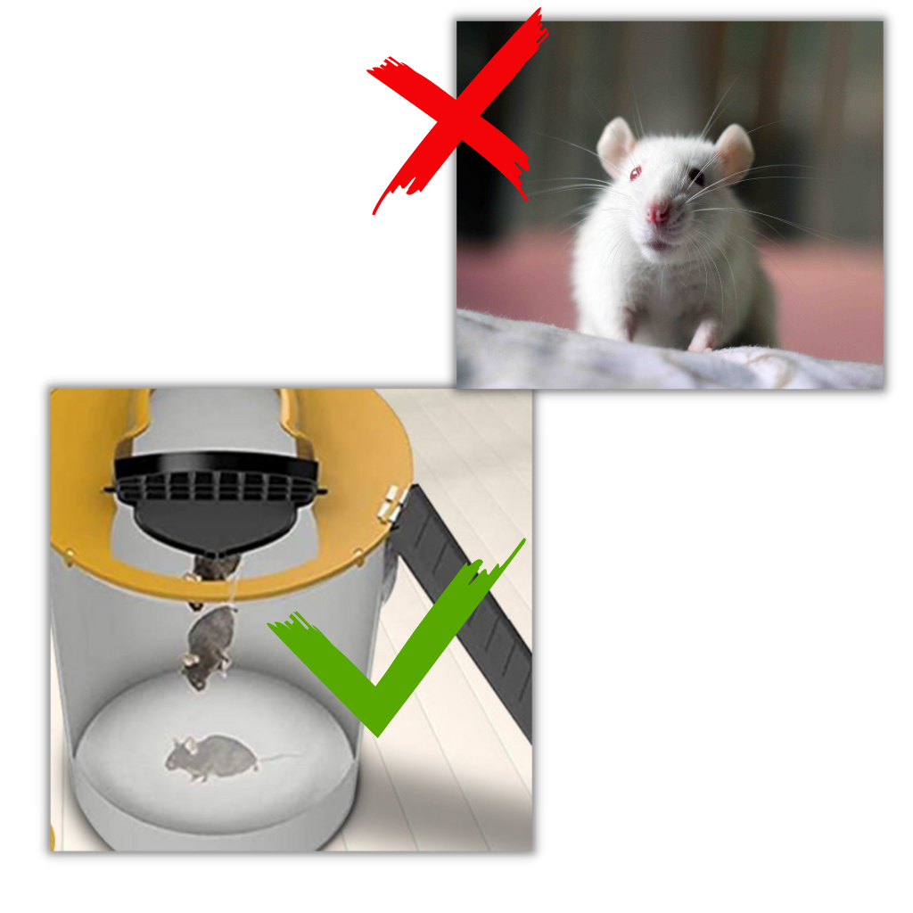 Cubo trampa para ratas y ratones - Trampa humana para ratas y ratones - Ozayti