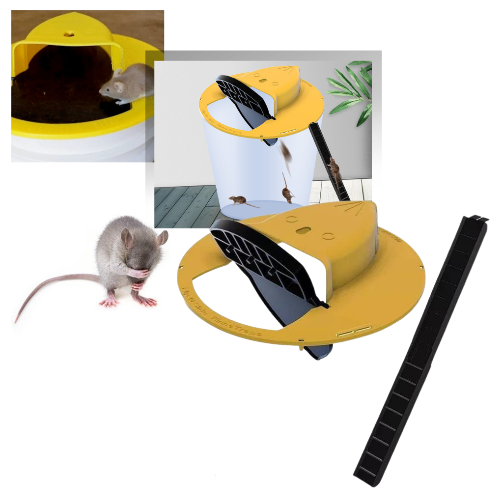 Trampa para ratas | trampa para ratas de cubo | trampa humana para ratones - Ozayti