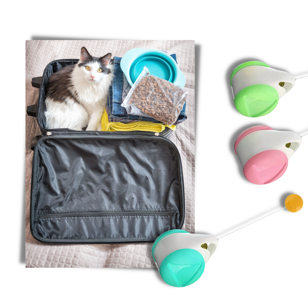 Interactive ball toy for cats - Safe and handy -