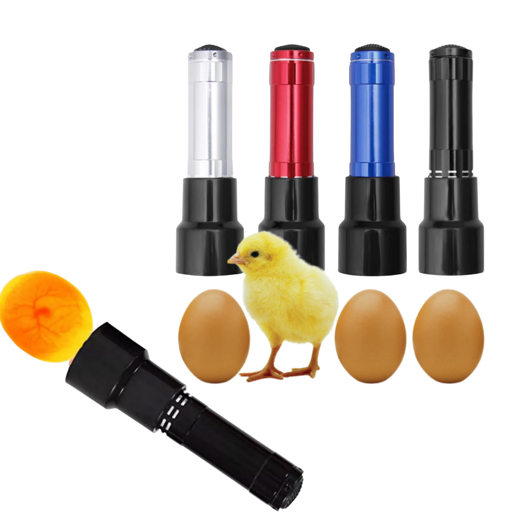 LED Egg Candling Lamp Candler Flashlight Provlampa för inkubation - Ozerty