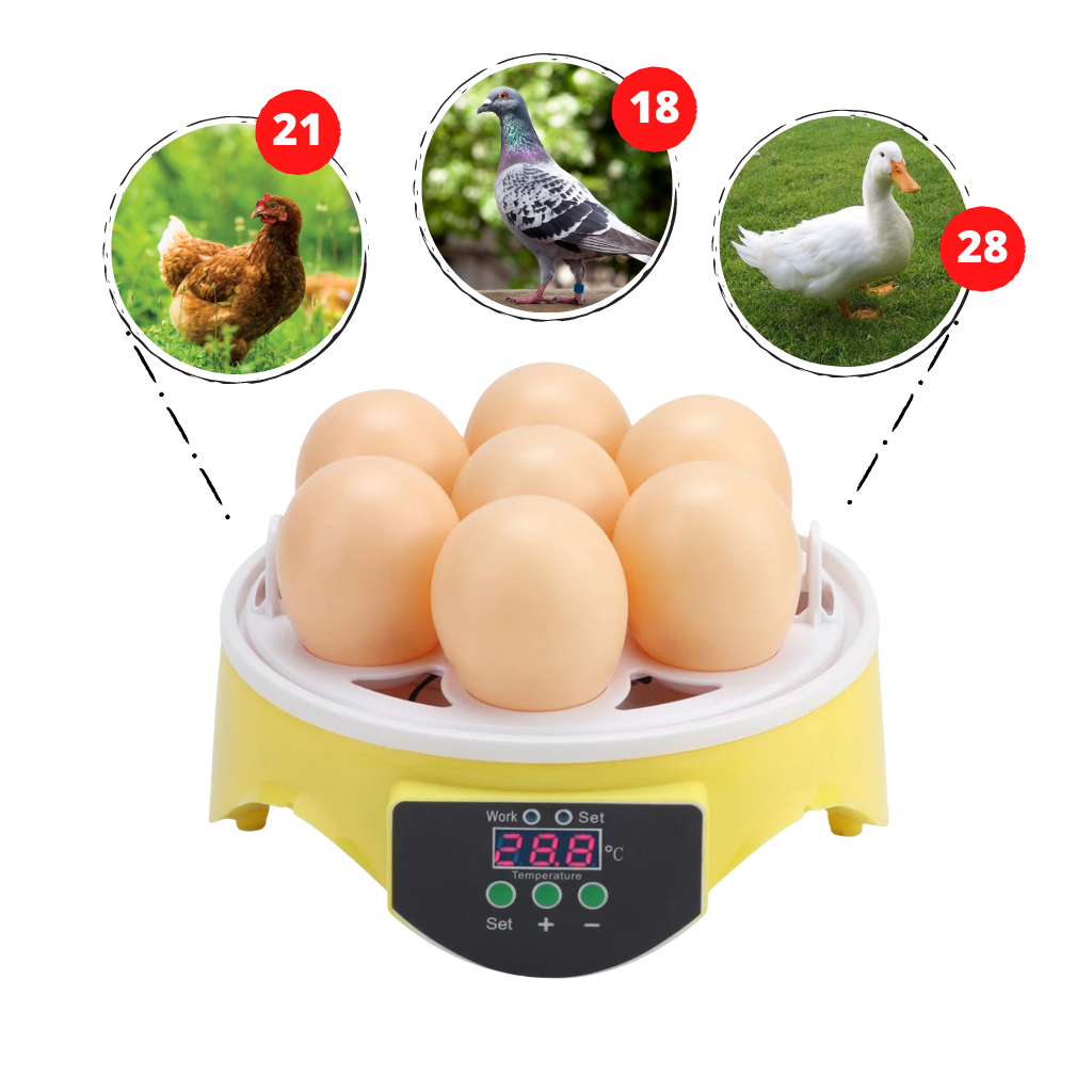 Mini automatisk äggkläckningsmaskin - Kapacitet för 7 ägg - Ozerty