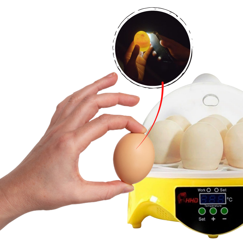 Minirugemaskin - Nybegynnertips for klekking av egg - Ozerty