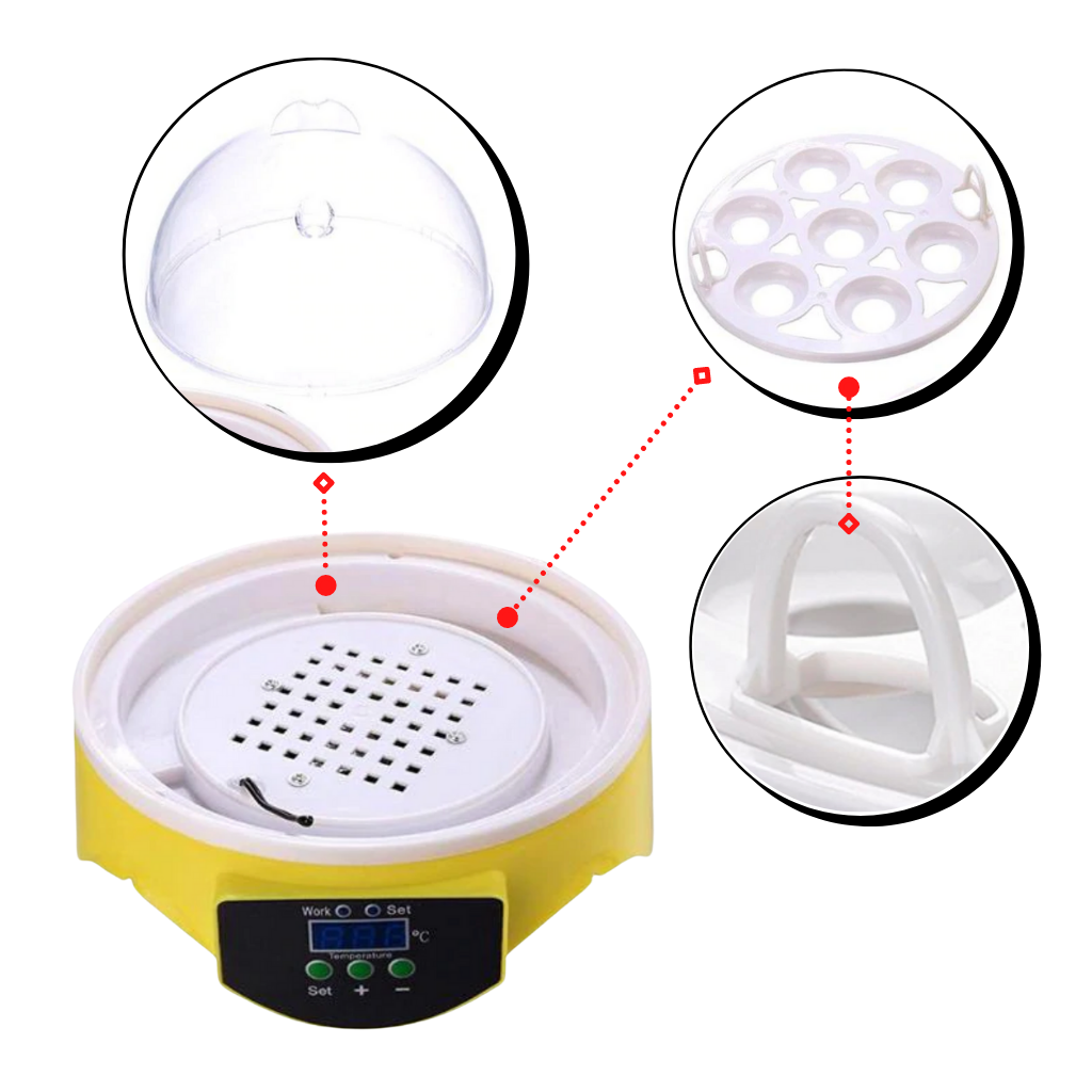Mini automatisk äggkläckningsmaskin - Kompakt design - Ozerty