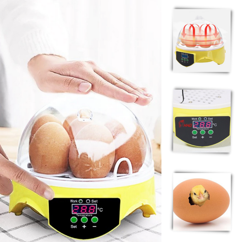 Mini automatisk äggkläckningsmaskin - Reglera temperaturen i ett enda klick - Ozerty