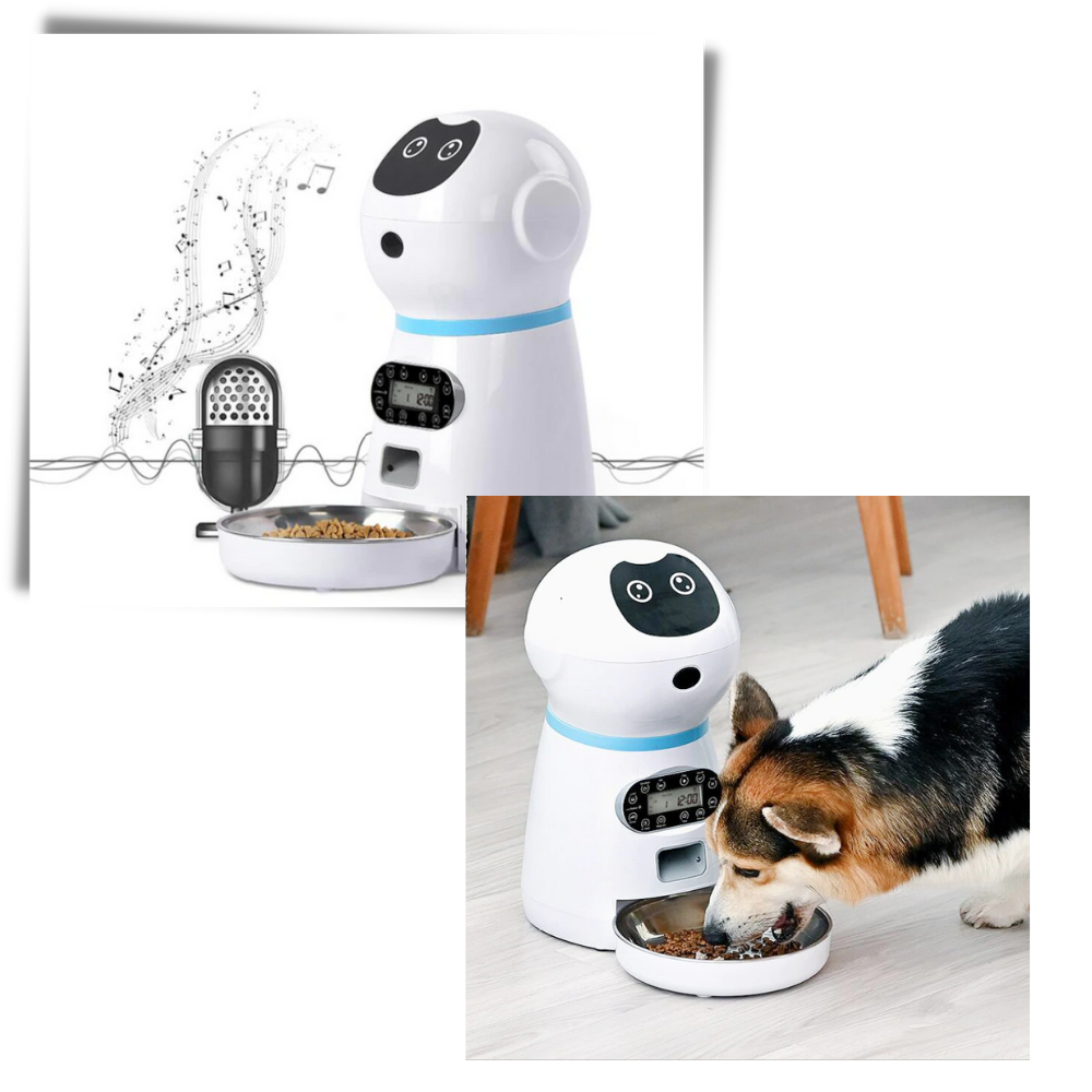 Automatic Pet Food Dispenser - Intelligent Design - 