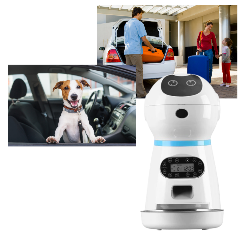 Distributeur automatique de nourriture pour animaux de compagnie - Portable - Ozerty