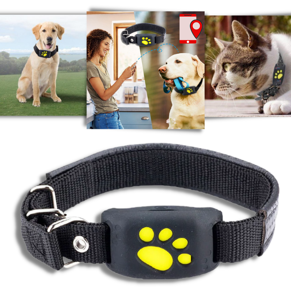 Collier de repérage GPS pour animaux de compagnie - Ozerty