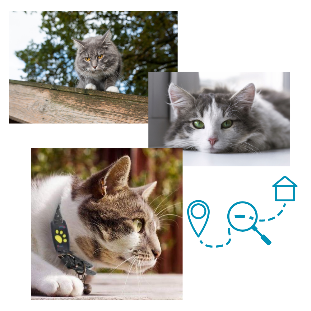 Collare di localizzazione GPS per animali domestici - Eccellente dispositivo di tracciamento - Ozerty