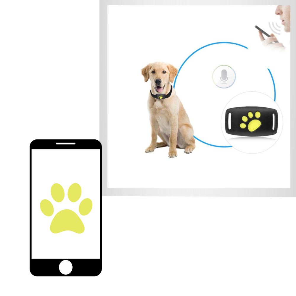 Collare di localizzazione GPS per animali domestici - Leggero e facile da usare - Ozerty