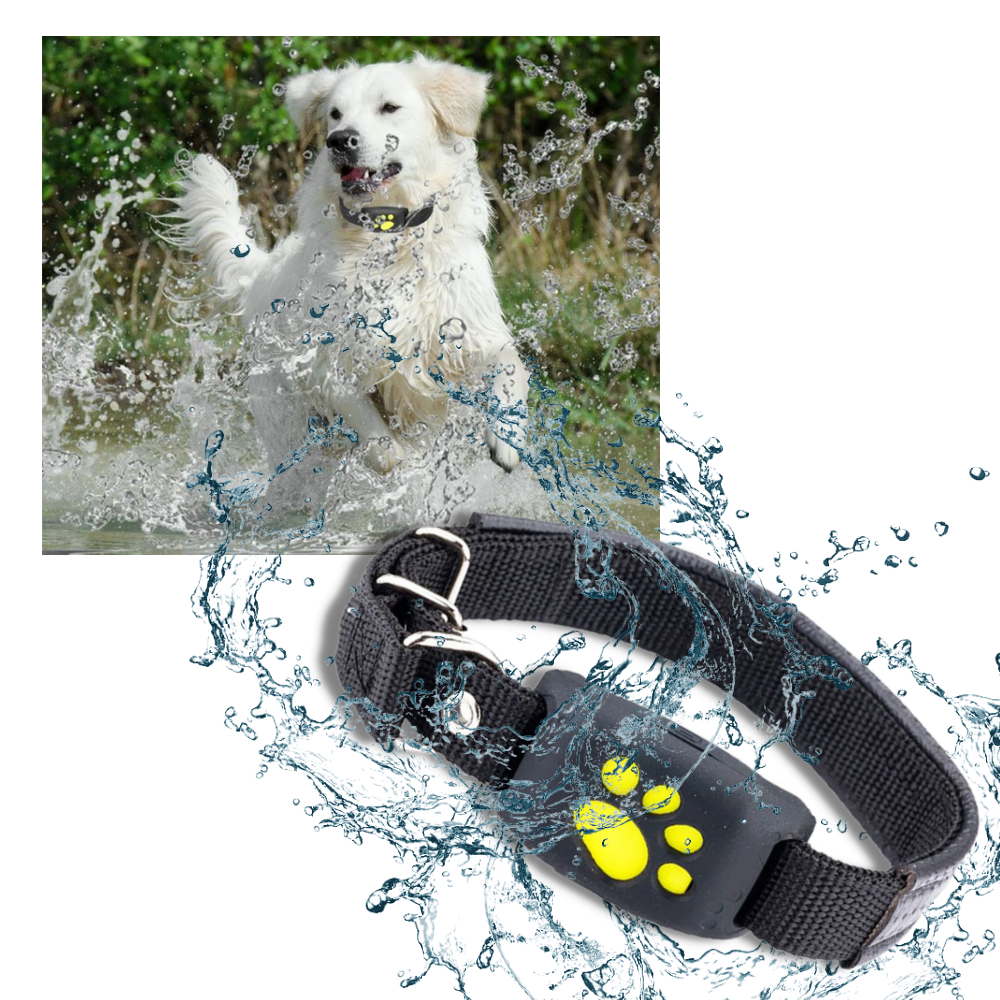 Halsband med GPS för husdjur - Vattentät - Ozerty