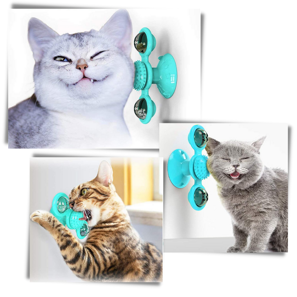 Rotativ vindmølle kat legetøj med børste - Selvpleje børste - Ozerty