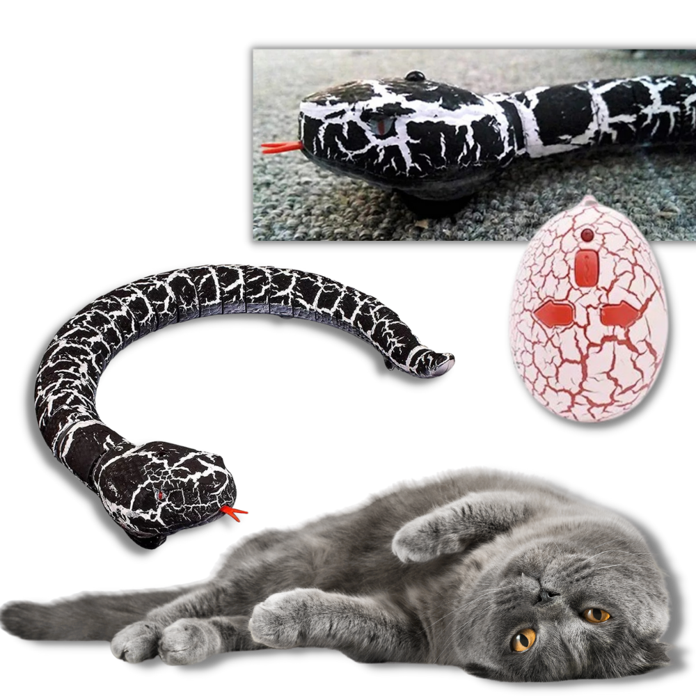 Slange legetøj til kat │ RC Fjernbetjening snake - Interaktiv legetøj til kat - Ozerty