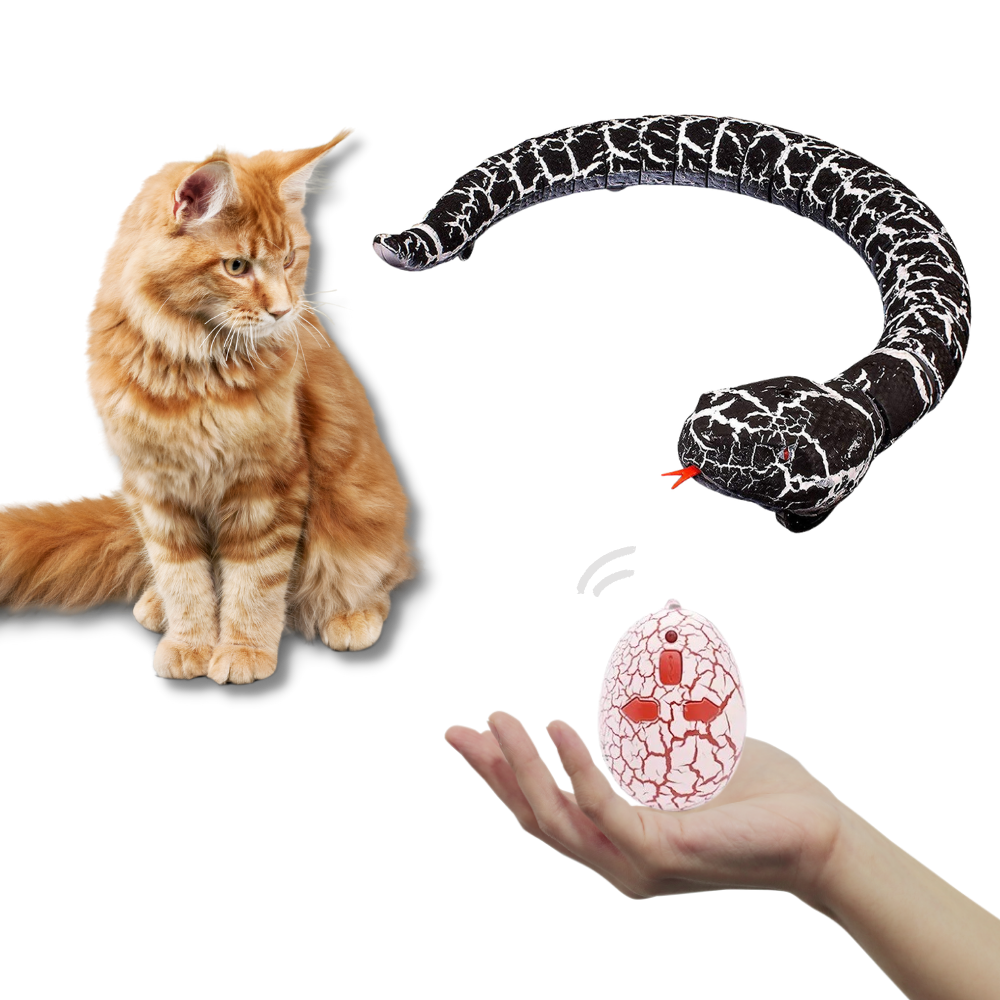 Jouet serpent interactif télécommandé pour chat - Télécommande à infrarouge - Ozerty