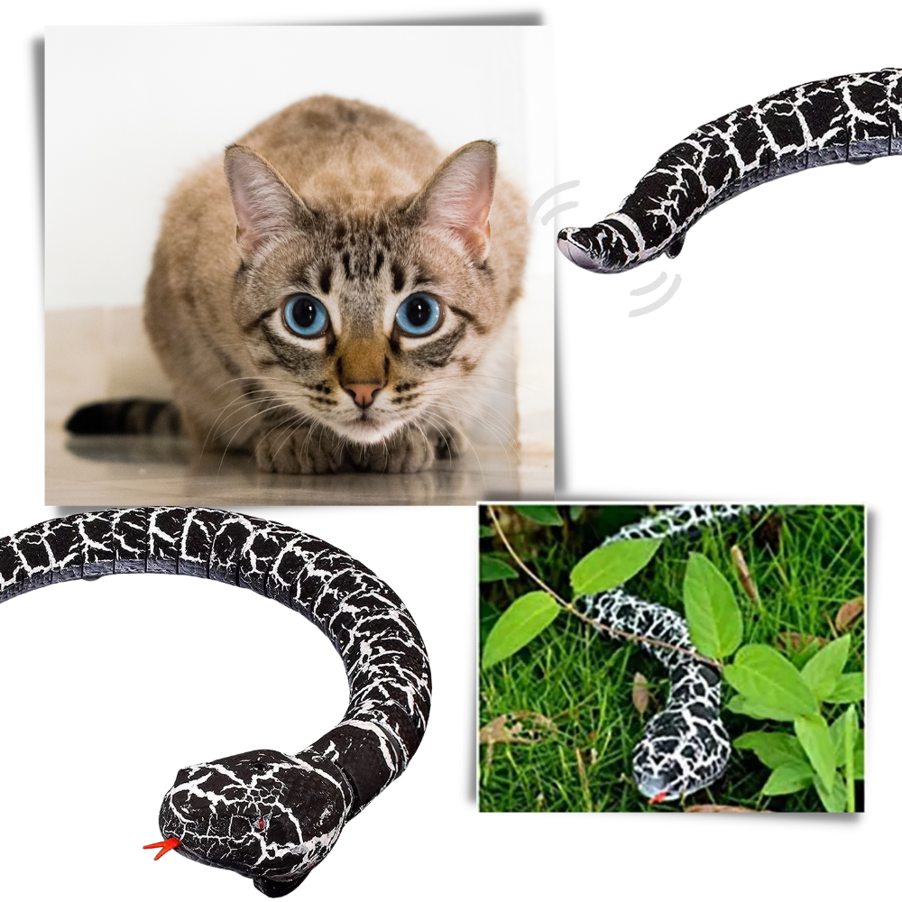 Fjernbetjenings interaktiv slange legetøj til kat - Realistisk efterligning - Ozerty