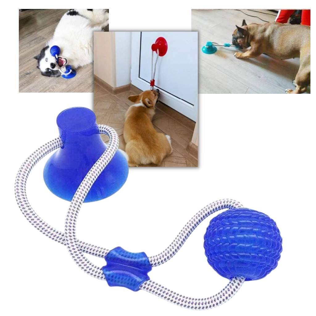 Juguetes Juguete con ventosa para perros │ juguete interactivo │ limpieza de dientes del perro - Ozayti