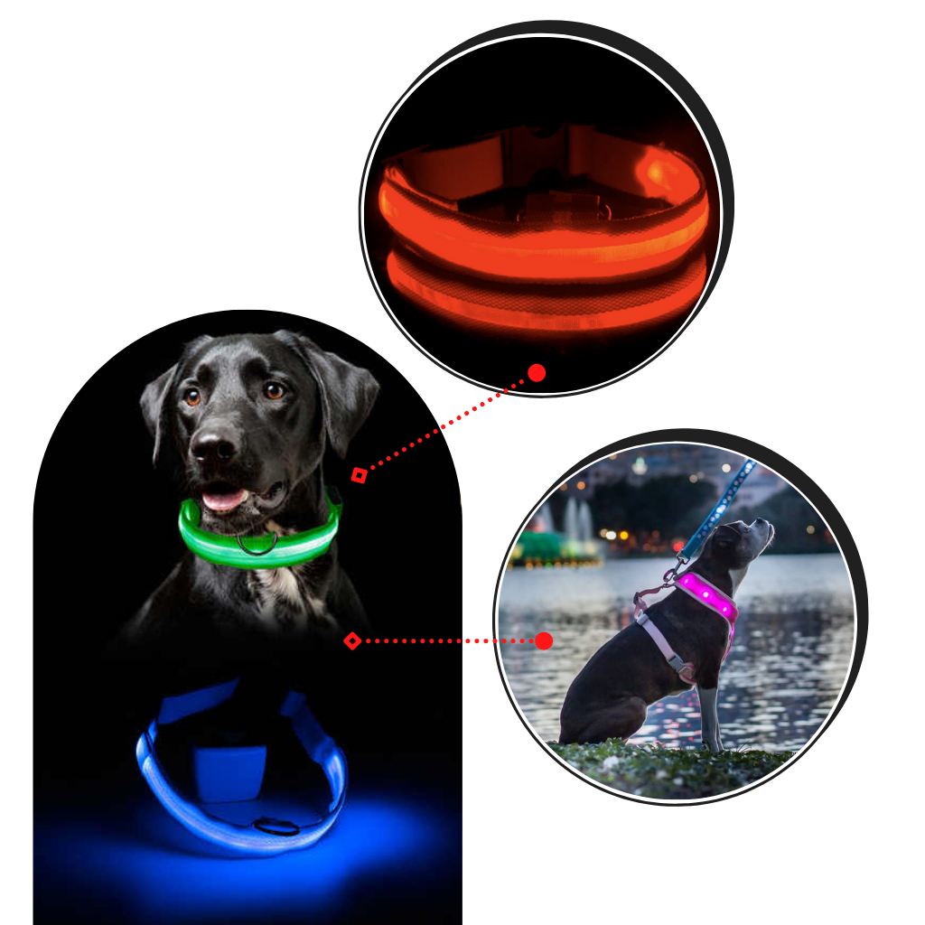 Collare per animali con luce LED ricaricabile USB - Alta visibilità - Ozerty