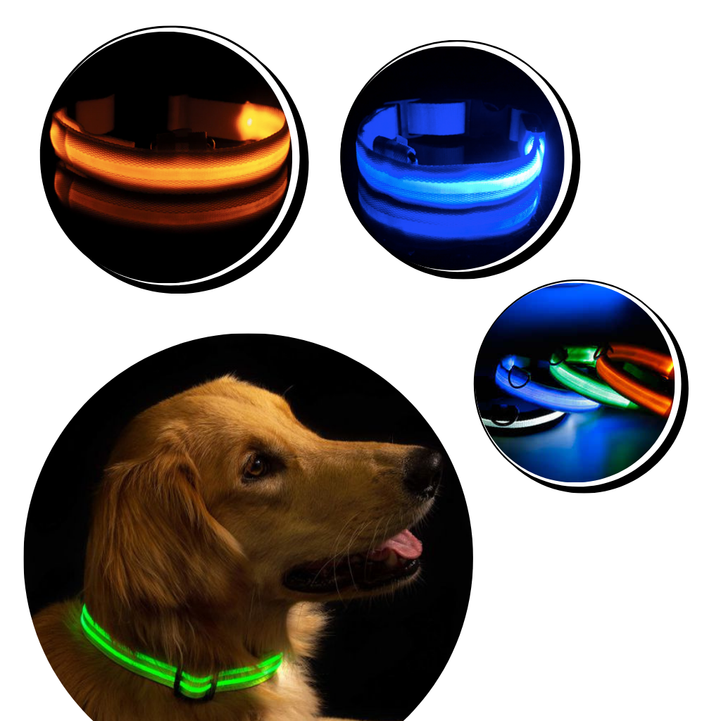 Collare per animali con luce LED ricaricabile USB - Tre modalità di flash - Ozerty