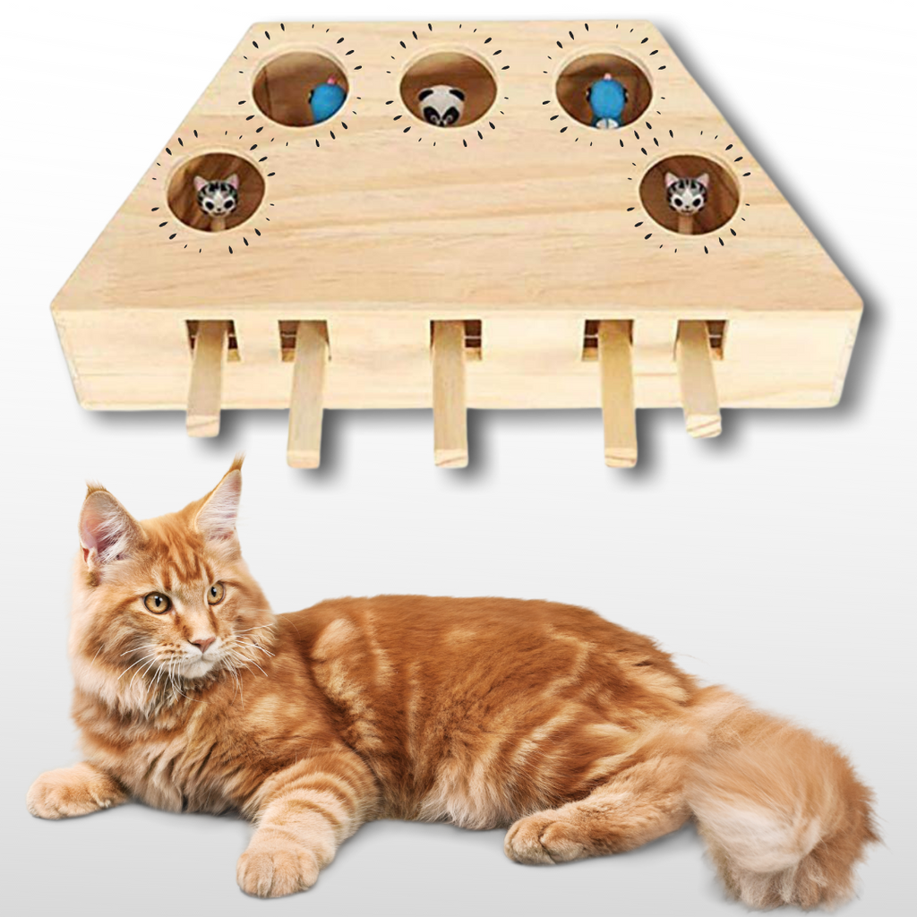 5 Hole Wooden Interactive Cat Toy - Educational training simulator - Ozerty