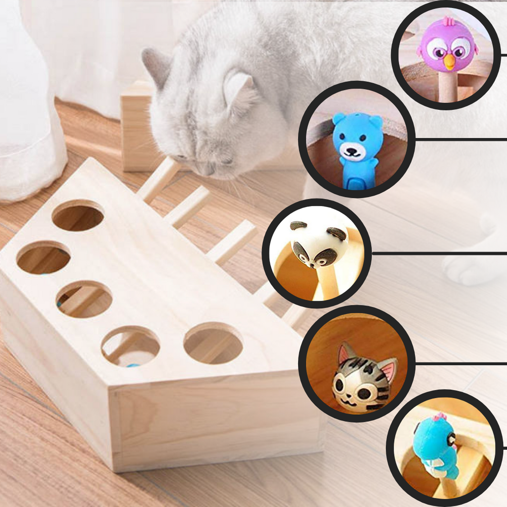 5 Hole Wooden Interactive Cat Toy - Cartoon style cat toy - Ozerty