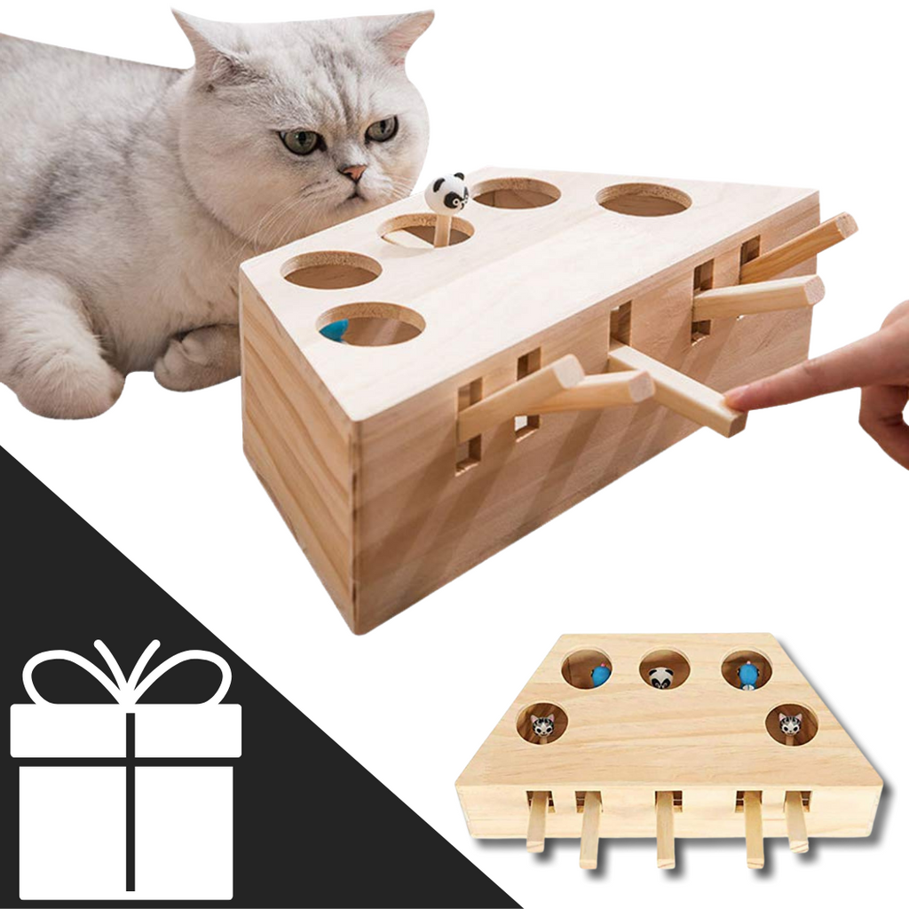 5 Hole Wooden Interactive Cat Toy - Ideal for cats - Ozerty