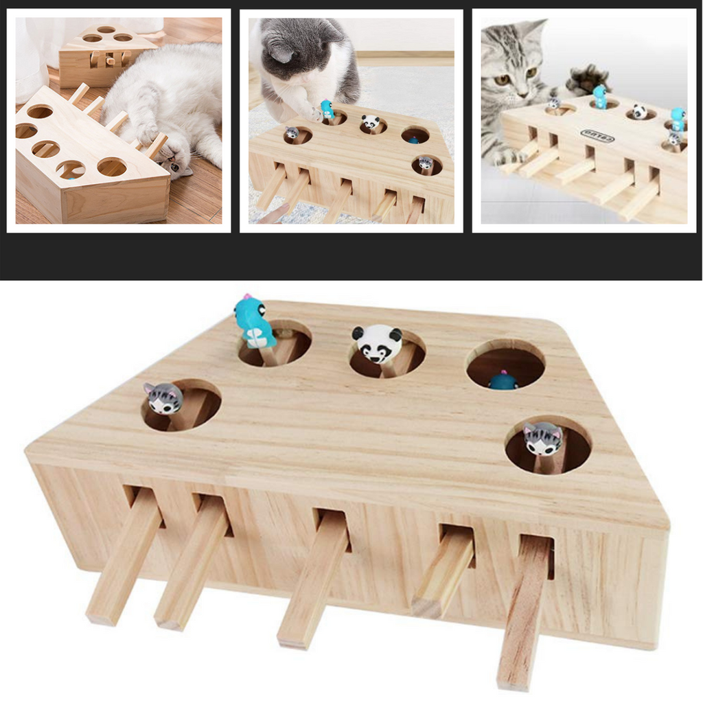 5 Hole Wooden Interactive Cat Toy - Fun toy for cats - Ozerty