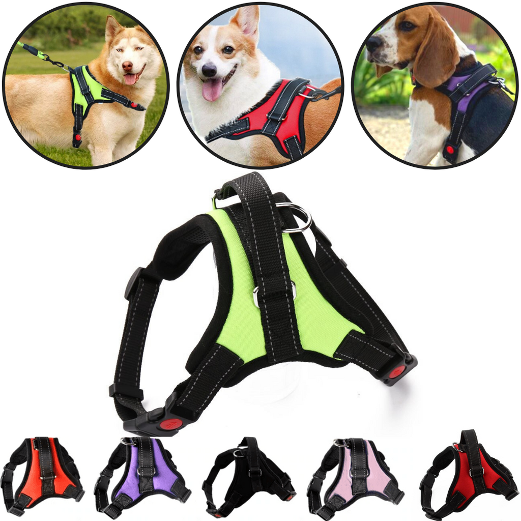 Dog Harness | Dog Training Harness | Puppy Harness with Handle - Ozerty