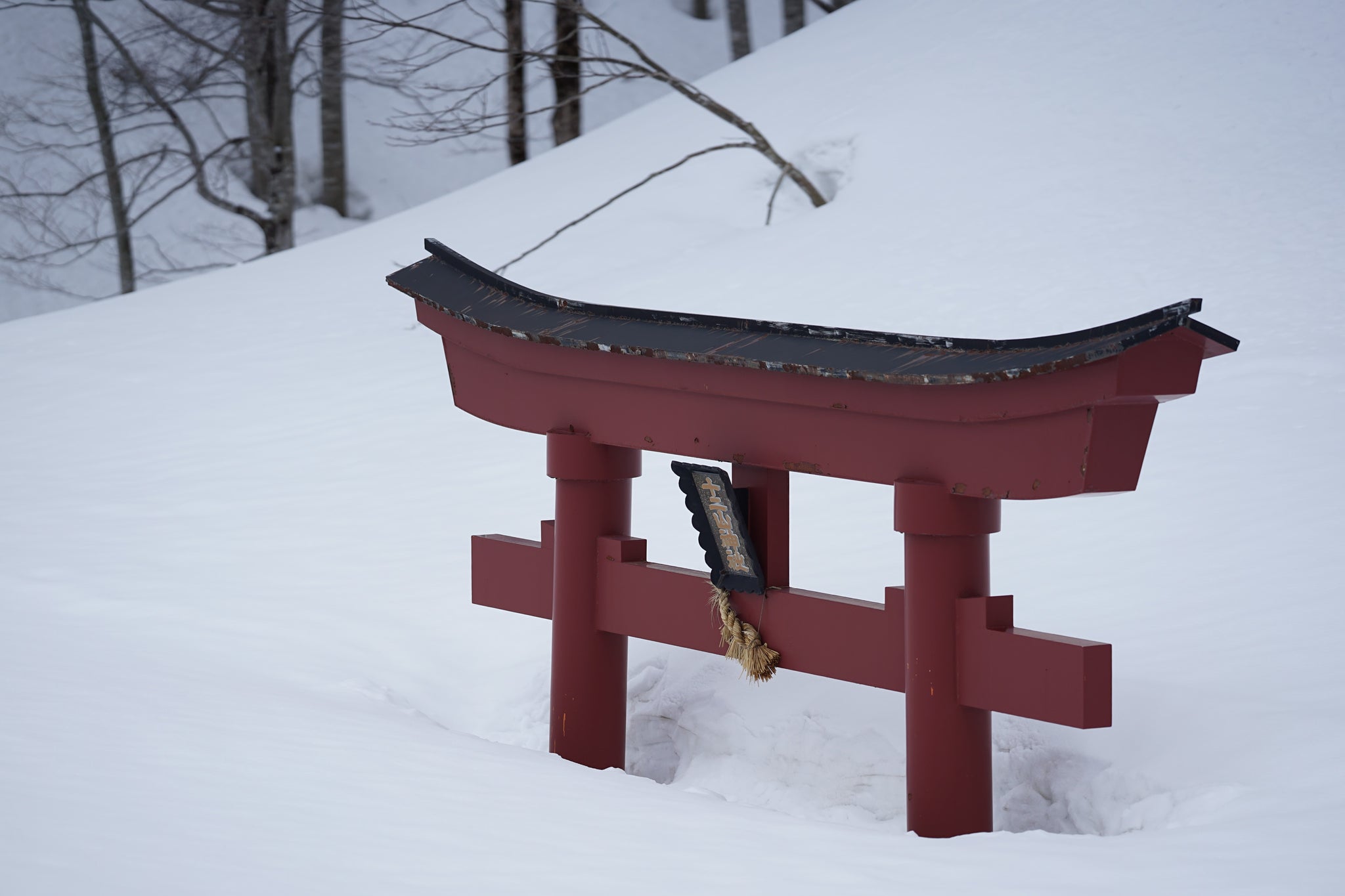 Torii covered in snow