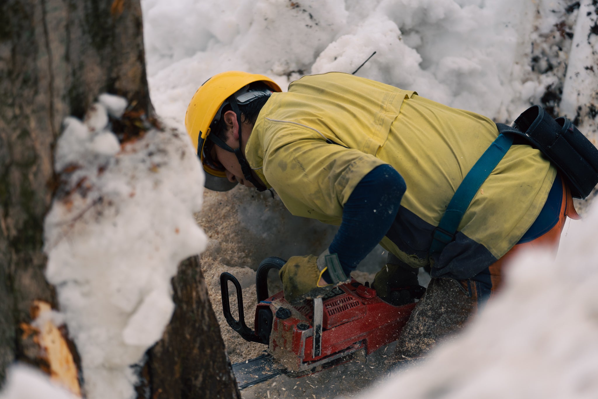 Chainsaw work in a narrow snow hole