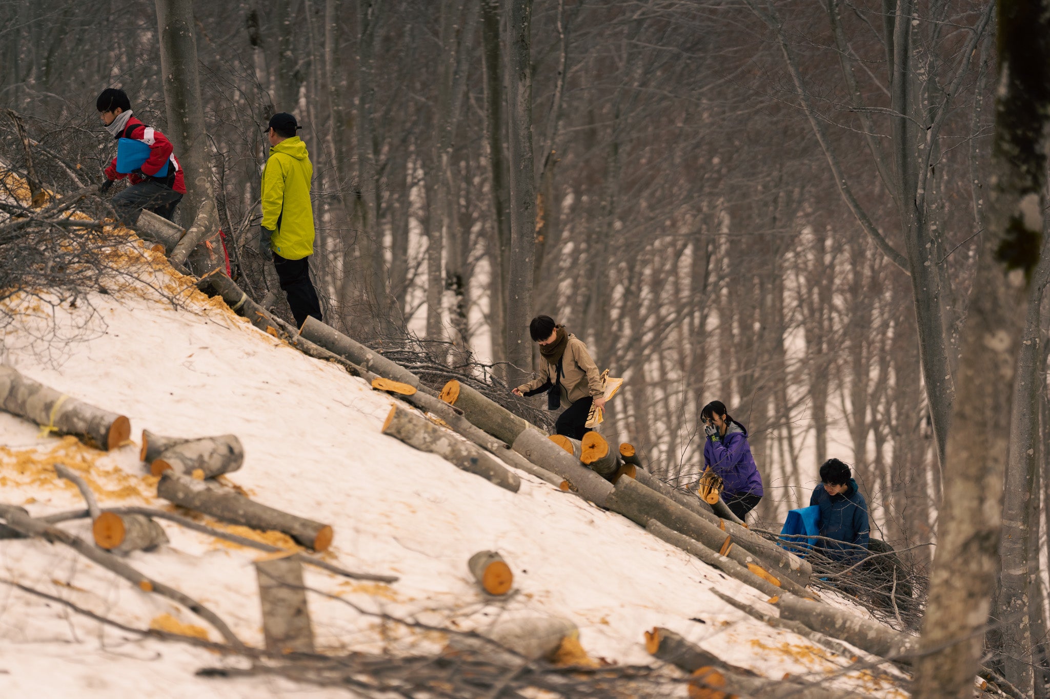 walk the mountain god