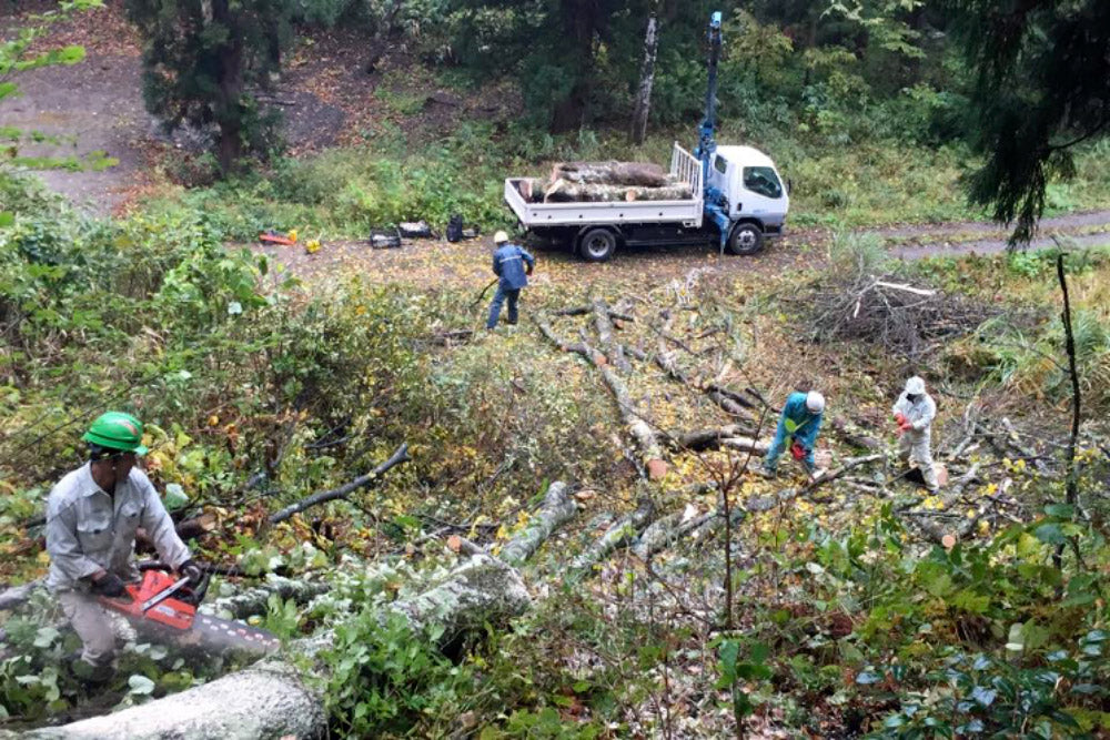 Working scenery by a logger