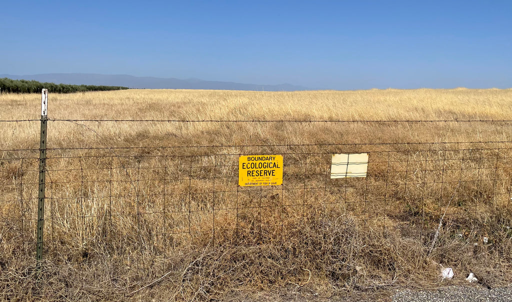 Looking west from the fence line is un-grazed grass shown just beyond an Ecological Reserve sign.