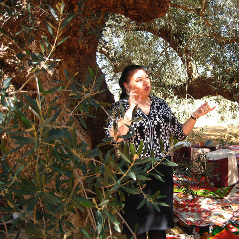 Liz in Tunisia under an exceptionally old olive tree, Spring 2010