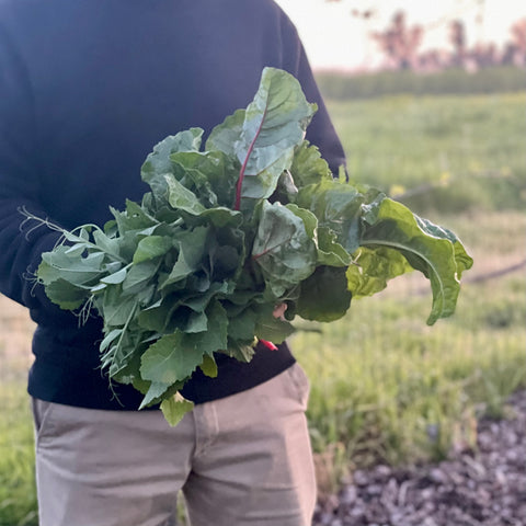 Donald brings in 1 lb of greens from our cover crop